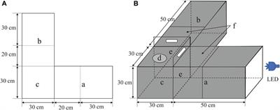 Integrated behavior and transcriptomic analysis provide valuable insights into the response mechanisms of Dastarcus helophoroides Fairmaire to light exposure